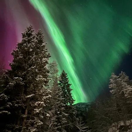 Jostedal Lodge * Jostedal