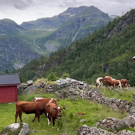 Jostedal Lodge Holiday home *