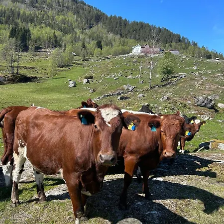 Casa vacanze Jostedal Lodge